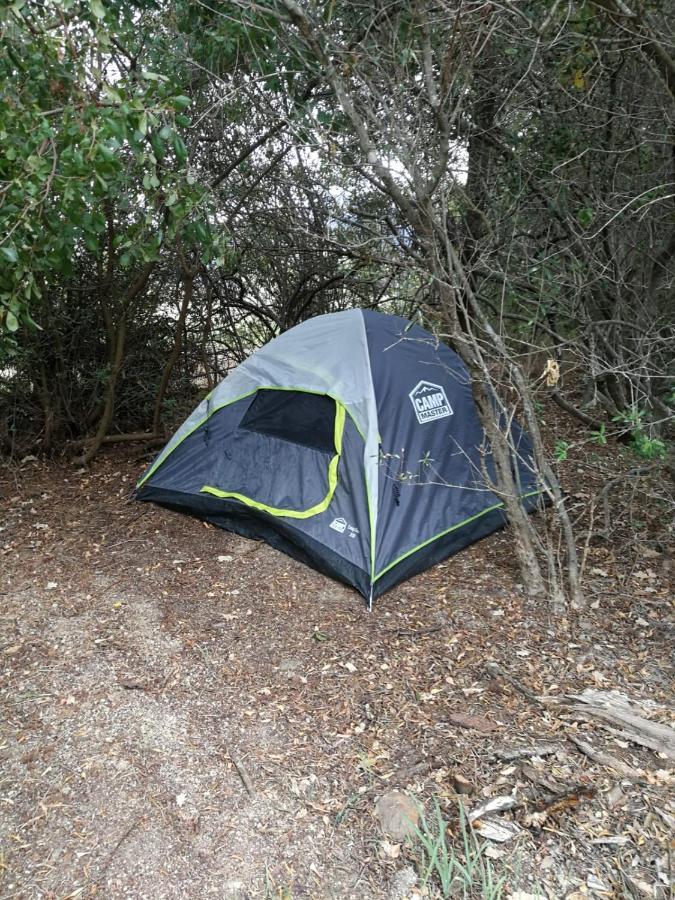 Klipfontein Rustic Farm & Camping Тульбах Экстерьер фото